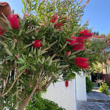 Villa Sitio Do Louro *