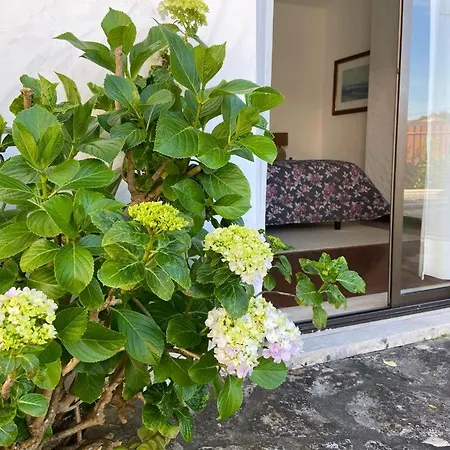 Villa Sitio Do Louro *