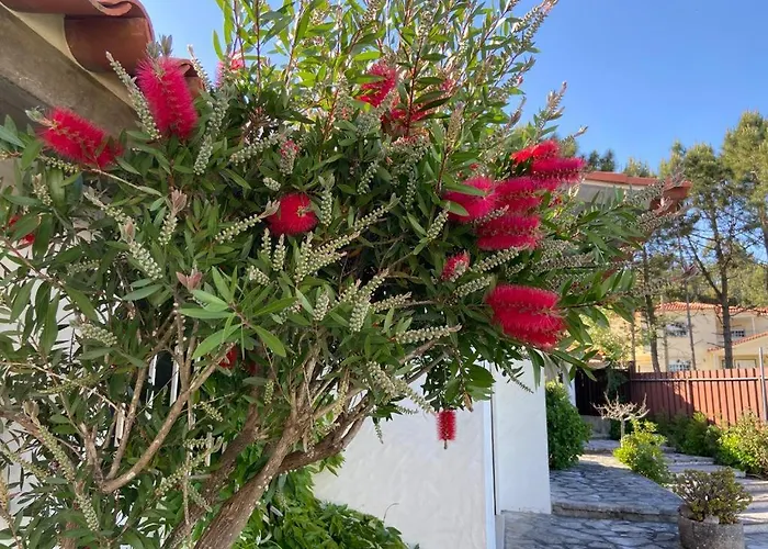 Villa Sitio Do Louro São Martinho do Porto